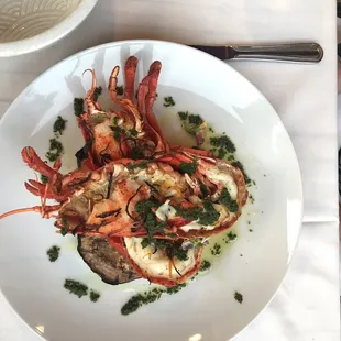 Lobster!