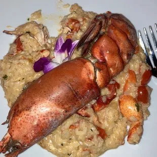 Lobster Risotto