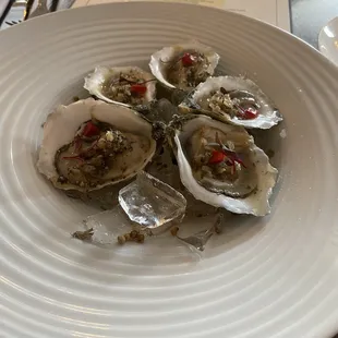 Oysters