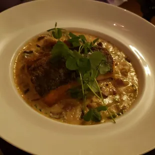Rockfish