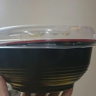 Other times I ate here, it filled the lid space. This time, not at all. Significantly less food.
