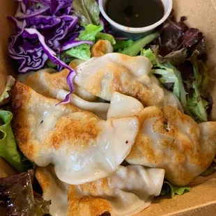 Pork and Chive Potstickers