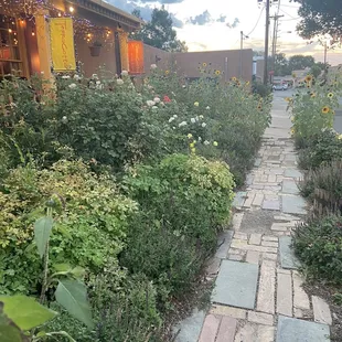 flower garden