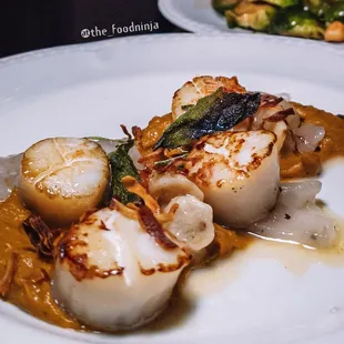 Seared Scallops