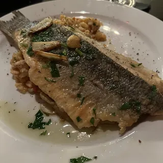 Branzino