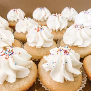 cupcakes with white frosting and sprinkles