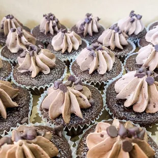 a tray of chocolate cupcakes with frosting