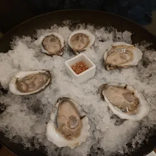 1/2 dz. Raw oysters aka "The best oysters I've ever had"