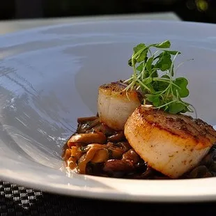 Fennel Pollen Spiced Sea Scallop