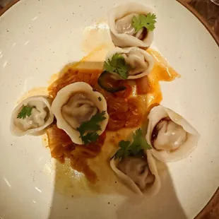 Beef Dumplings
