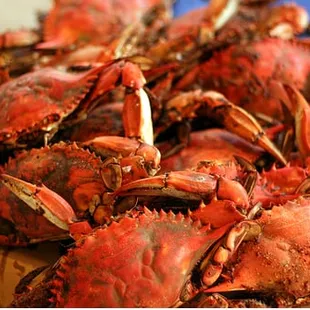 MD CRABS &amp; SEAFOOD  SERVED THURSDAY- SUNDAY