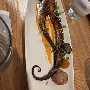 Octopus