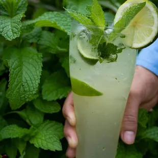 Mojito