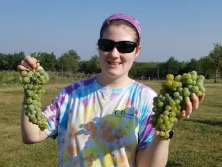 Odessa Country Winery