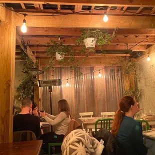 Outdoor garden