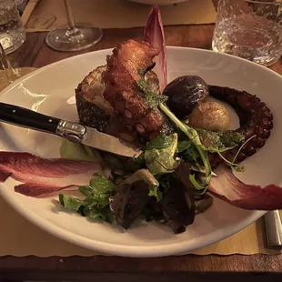 Grilled Octopus