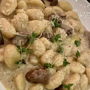 Porcini Mushrooms
