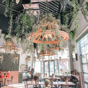 the inside of a restaurant with plants hanging from the ceiling