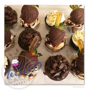 chocolate covered cupcakes