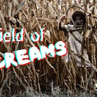 Open every weekend night in October including Halloween night, Terror In the Corn combines three unique haunted themed areas that weave thro