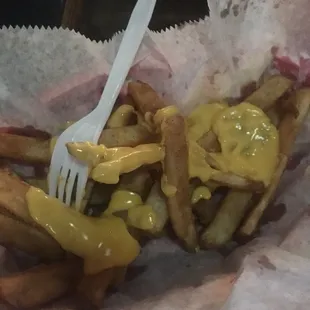 Terry's  Garlic cheese fries