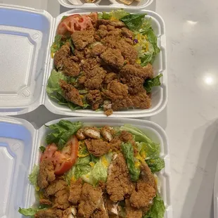 Crispy chicken salad (pitas were extra)