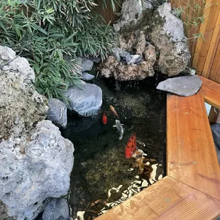 Koi pond at the front entrance