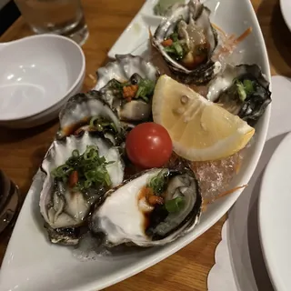 Shell Oyster