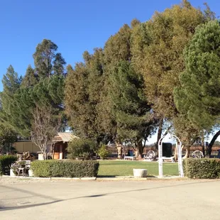 Lawn on the property for enjoying wine and sunshine