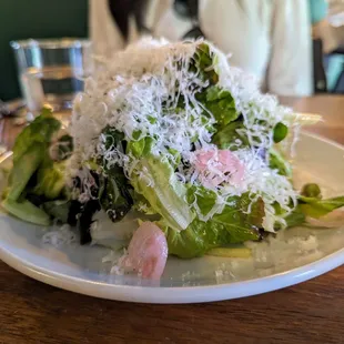 Local Lettuces. $13. Olive oil vinaigrette, shallot, Grana Padano.