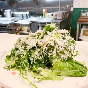 Local lettuce salad