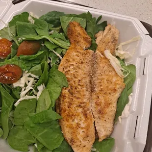 oysters and mussels, food