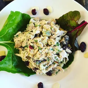 House made chicken salad with freshly roasted chicken!
