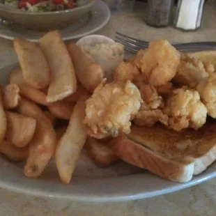 shrimp and steak fries