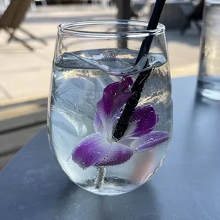 a glass of water with a flower in it