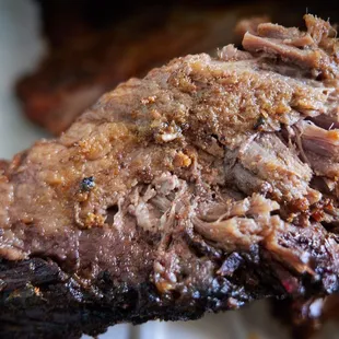 Brisket