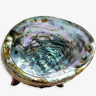 Abalone Shell for burning Sage or Palo Santo