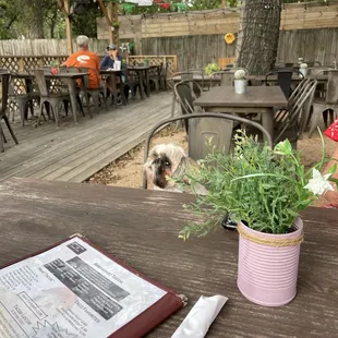 Back patio