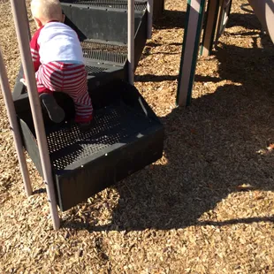 Pretty big step for the little ones to get up, even on the smaller structure.