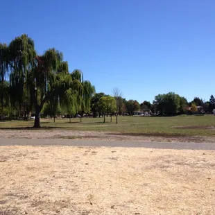 View from the playground