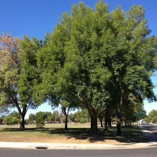 View from the corner of Jessica &amp; Felicia