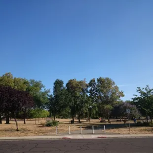 The park from North side