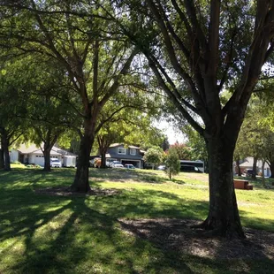 Go in the morning when it's a little cooler.