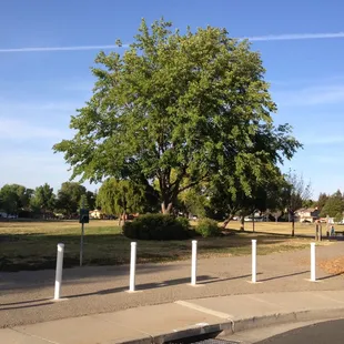 This path goes all around the park and is suitable for walking and bicycling.