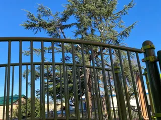 May Nissen Community Park