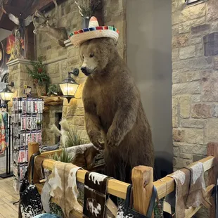 Belinda the brown bear *I made this name up myself