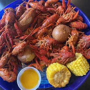 Amazing crawfish!