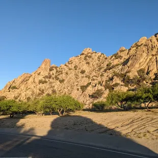 Good morning, Texas Canyon!