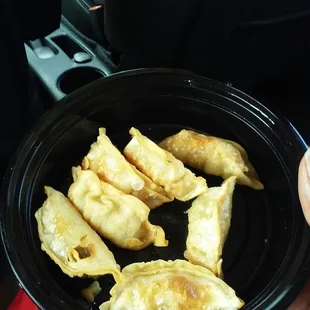 Fried Meat Wonton