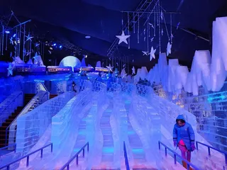 ICE